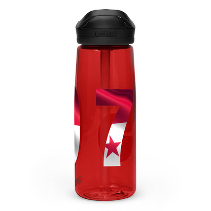 Sports water bottle