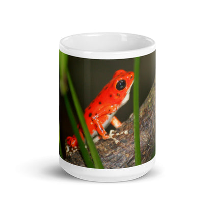 Panama Red Frog White Glossy Mug
